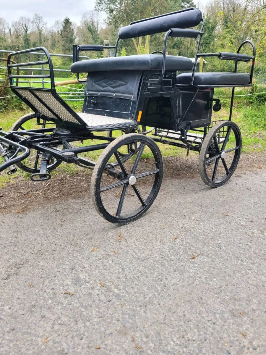 Shetland Sport Pony carriage for sale - Image 1