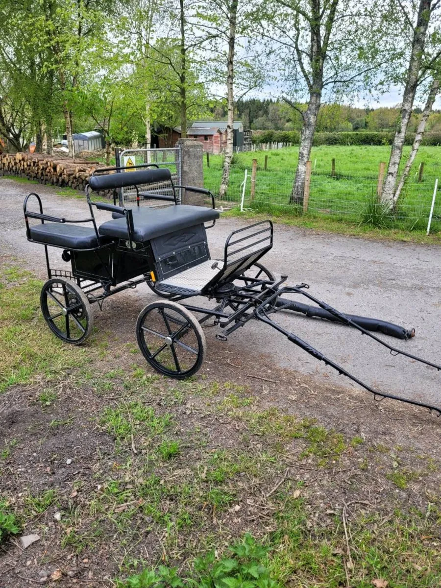 Shetland Sport Pony carriage for sale - Image 3