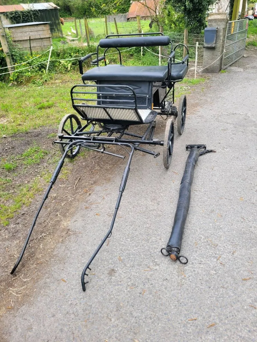 Shetland Sport Pony carriage for sale - Image 4