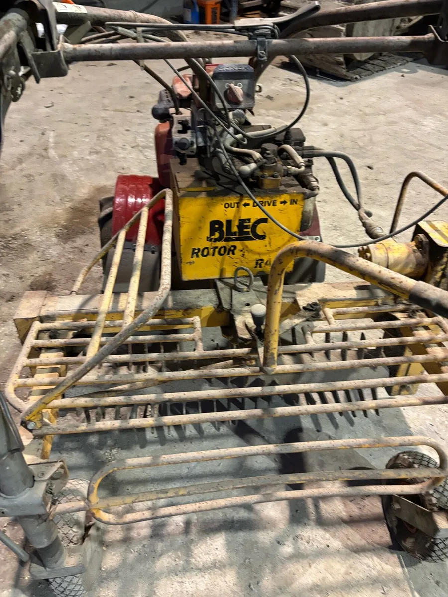 BLEC lawn rake - Image 1