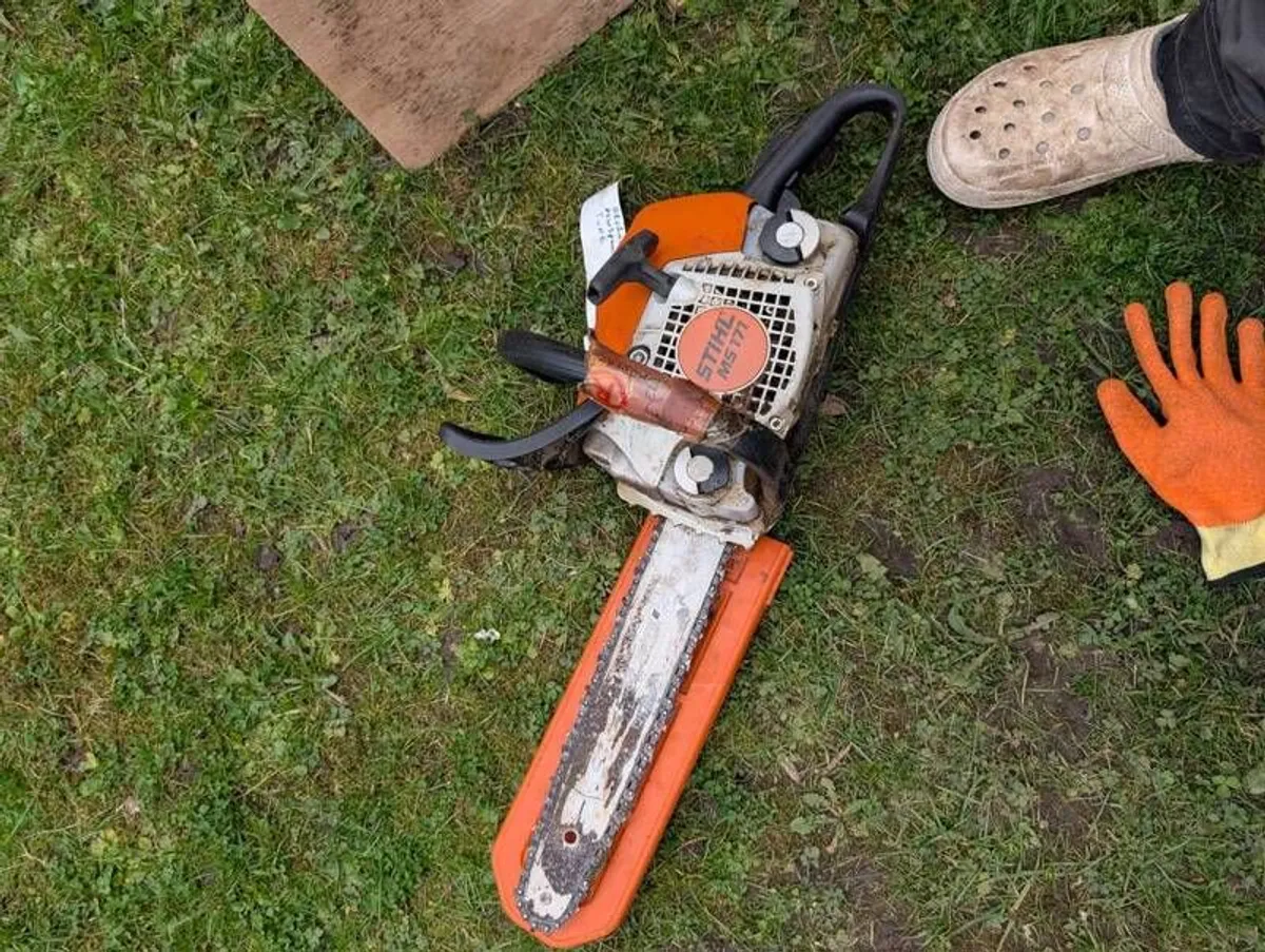 Chainsaw - Image 2