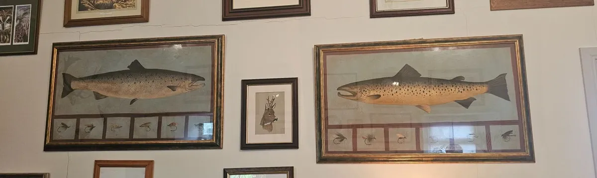 Salmon & Trout Large Art Paintings - Image 1