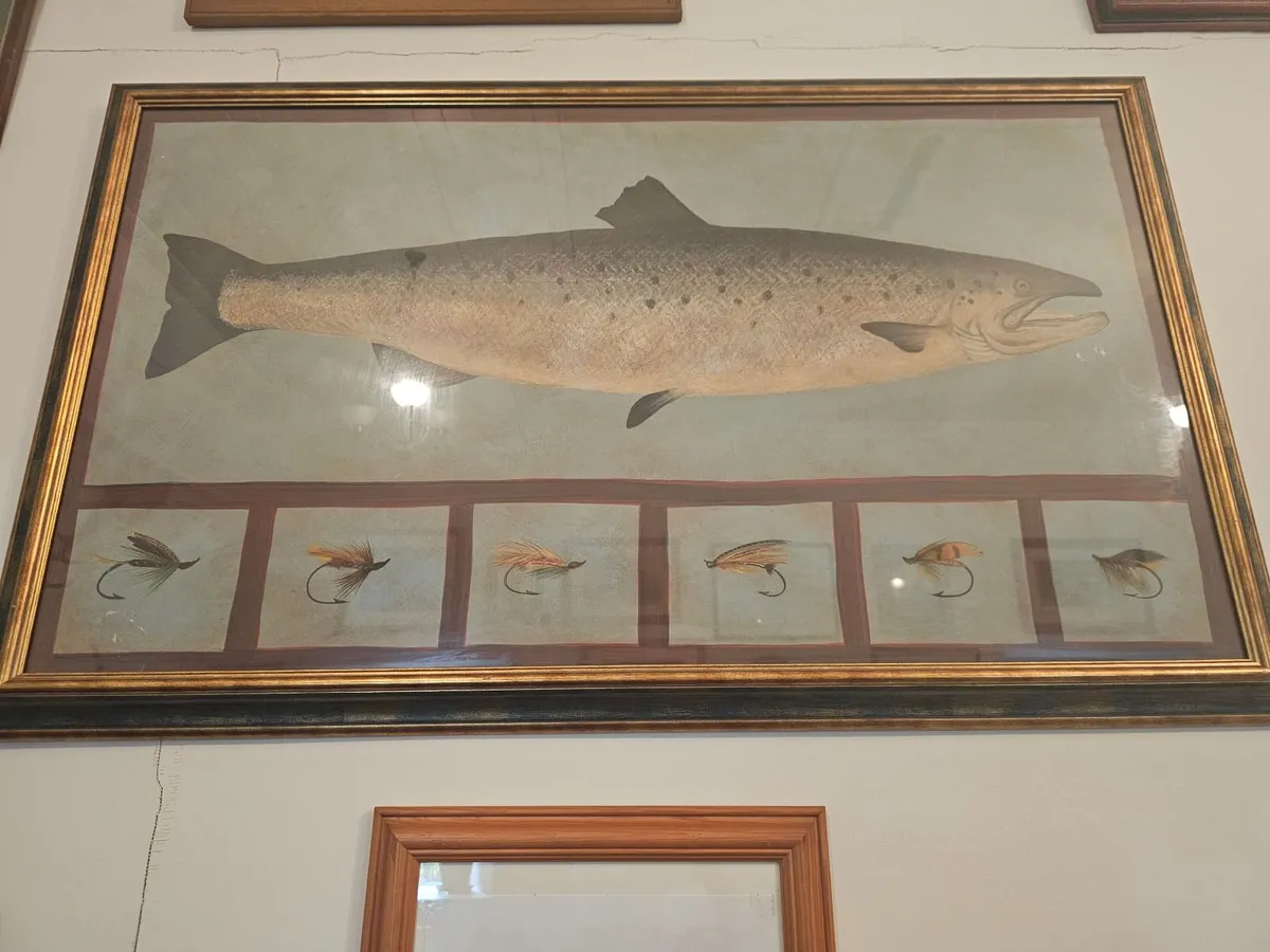 Salmon & Trout Large Art Paintings - Image 2