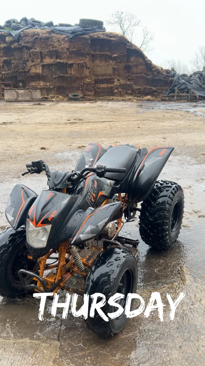 Kayo raging bull 125 - Image 1