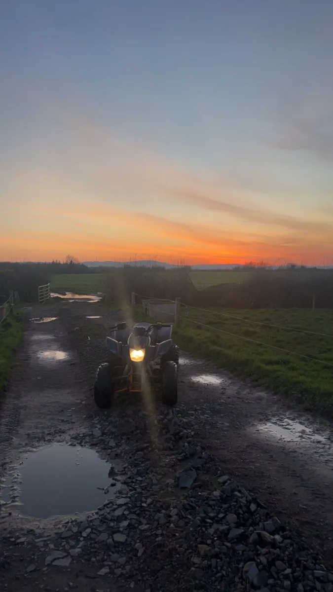 Kayo raging bull 125 - Image 3