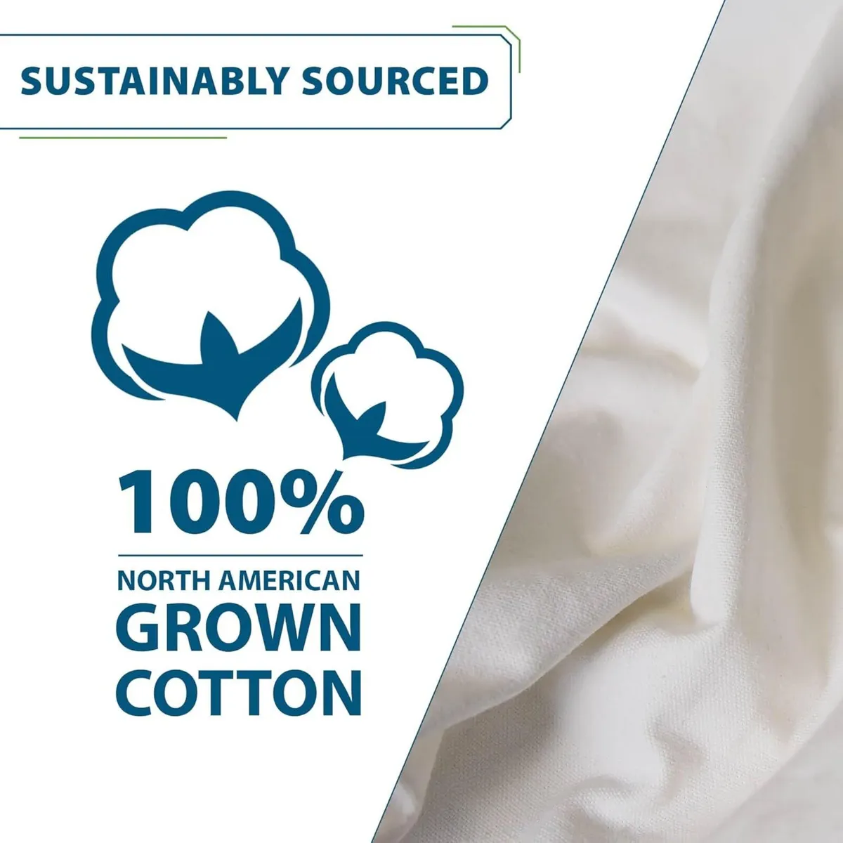 C8SPCT-00 Double Cotton Hammock with Solid Pine - Image 4