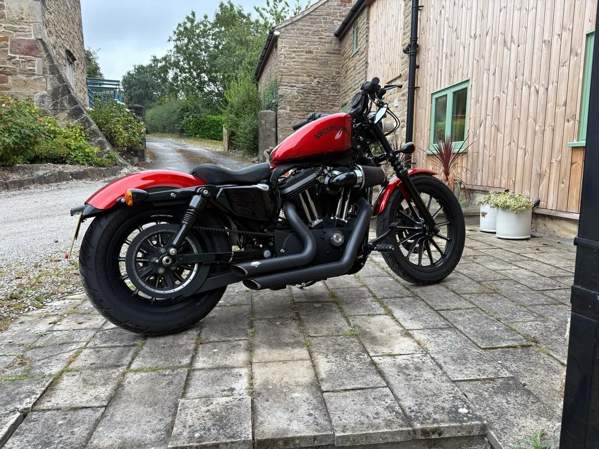 Harley Davidson Sportster 883 - Image 1