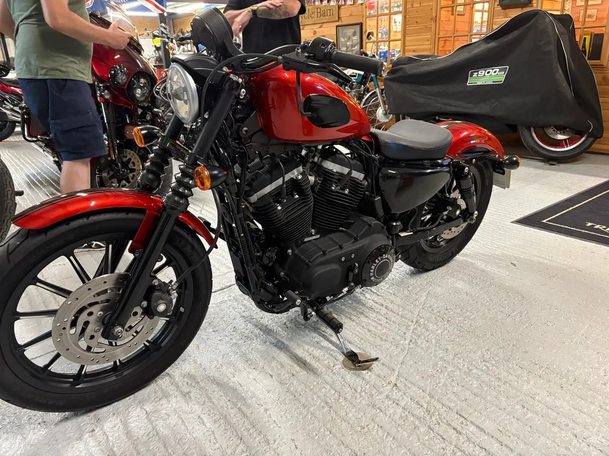 Harley Davidson Sportster 883 - Image 2