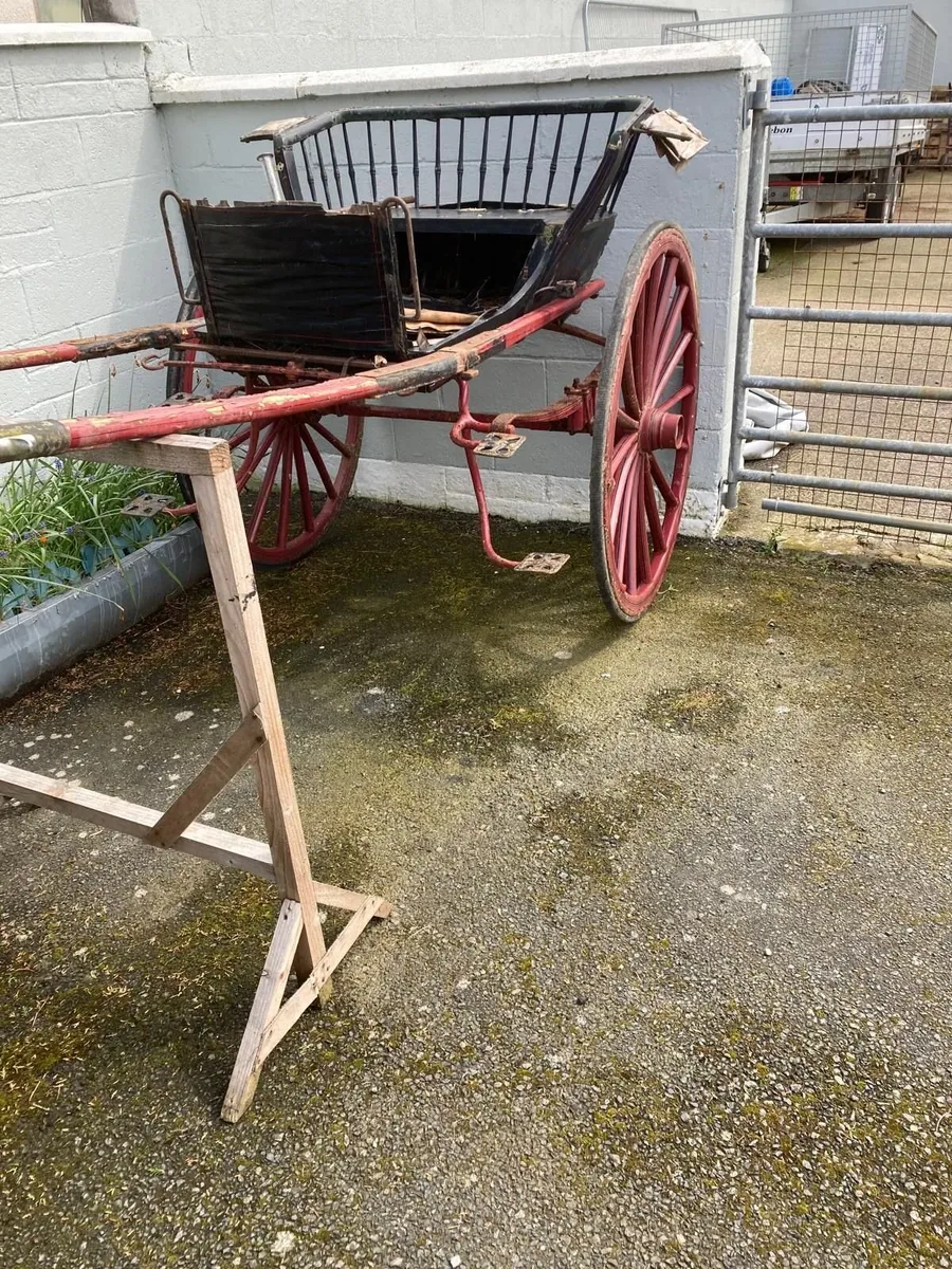horse driving equipment - Image 2