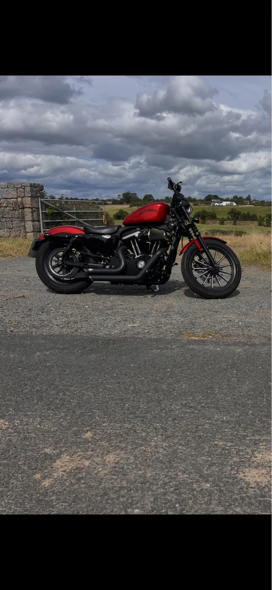 Harley Davidson Sportster 883 - Image 4