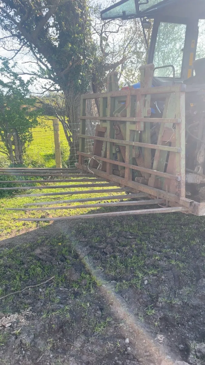 Push of buckrake - Image 3