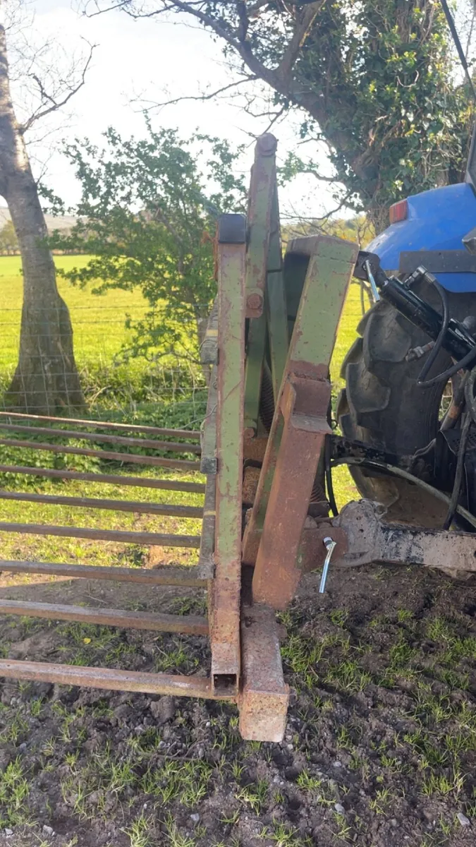 Push of buckrake - Image 4