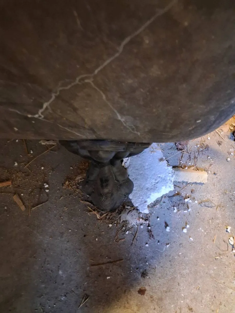 Antique cast iron bath - Image 3