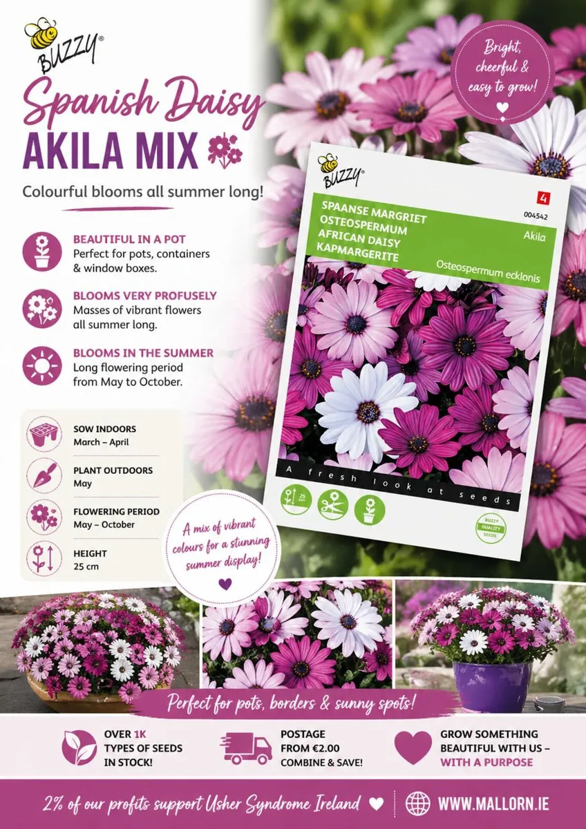 Flower seeds - Image 2