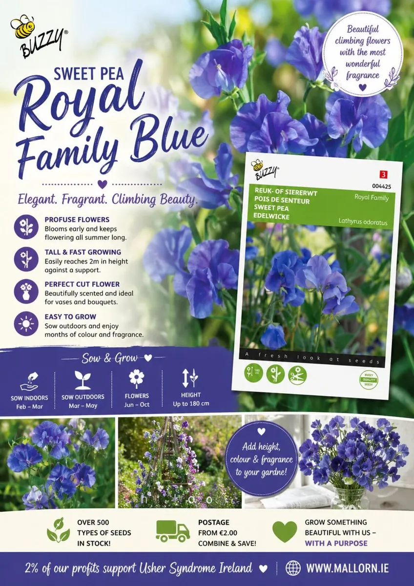 Flower seeds - Image 3