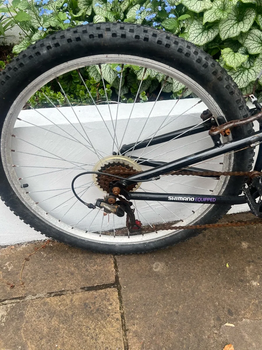 Spiral Apollo bike - Image 2