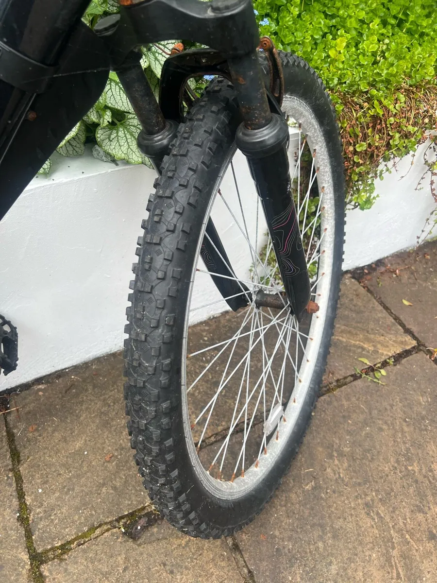 Spiral Apollo bike - Image 3