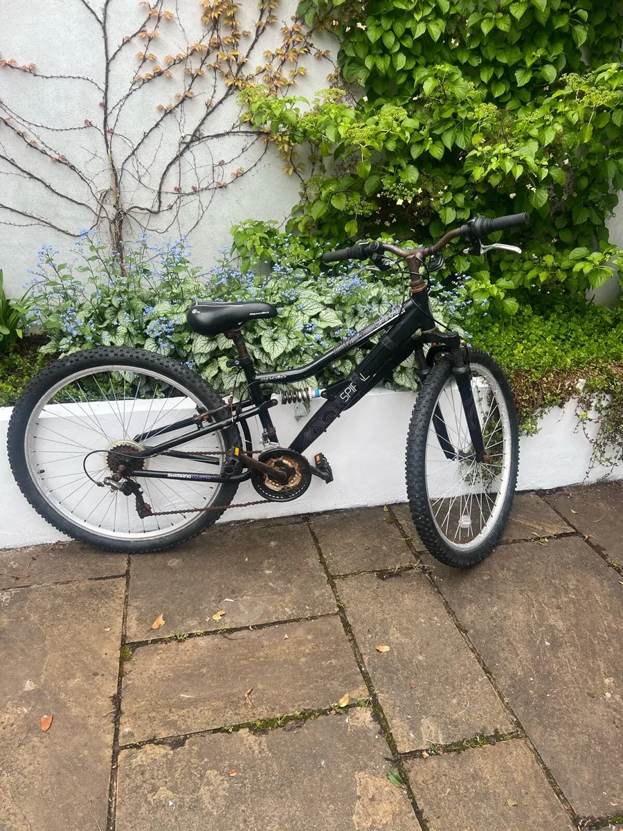 Spiral Apollo bike - Image 1