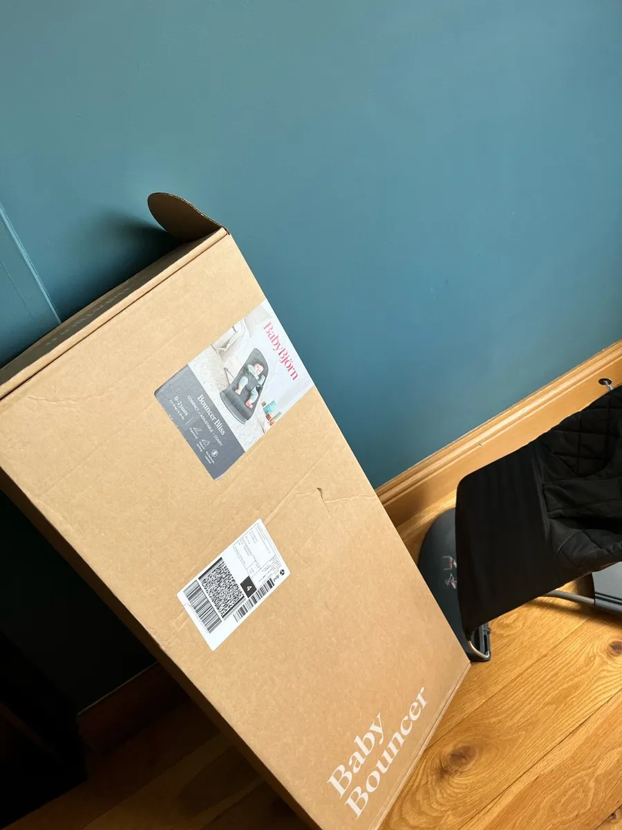 Baby Bjorn Bouncer - Image 3