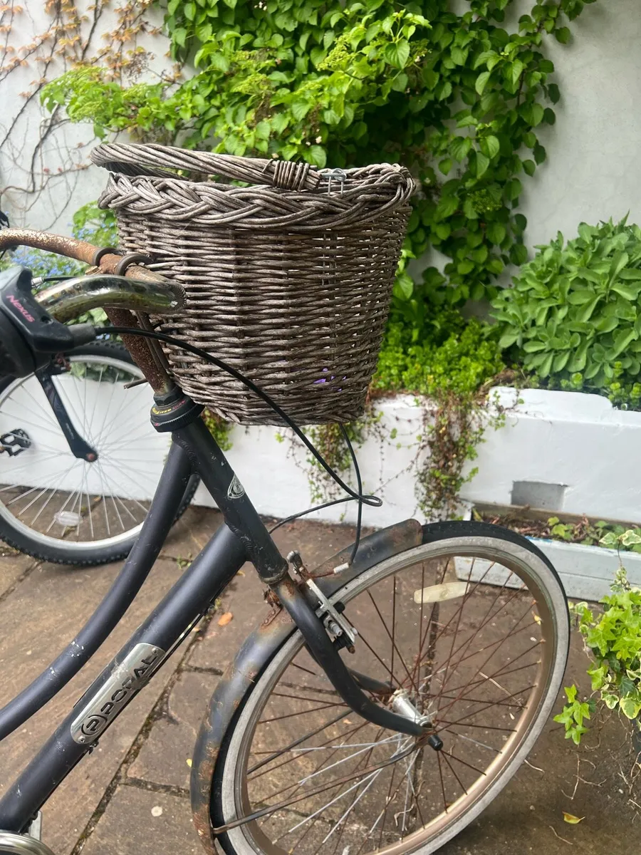 Women’s bike - Image 3