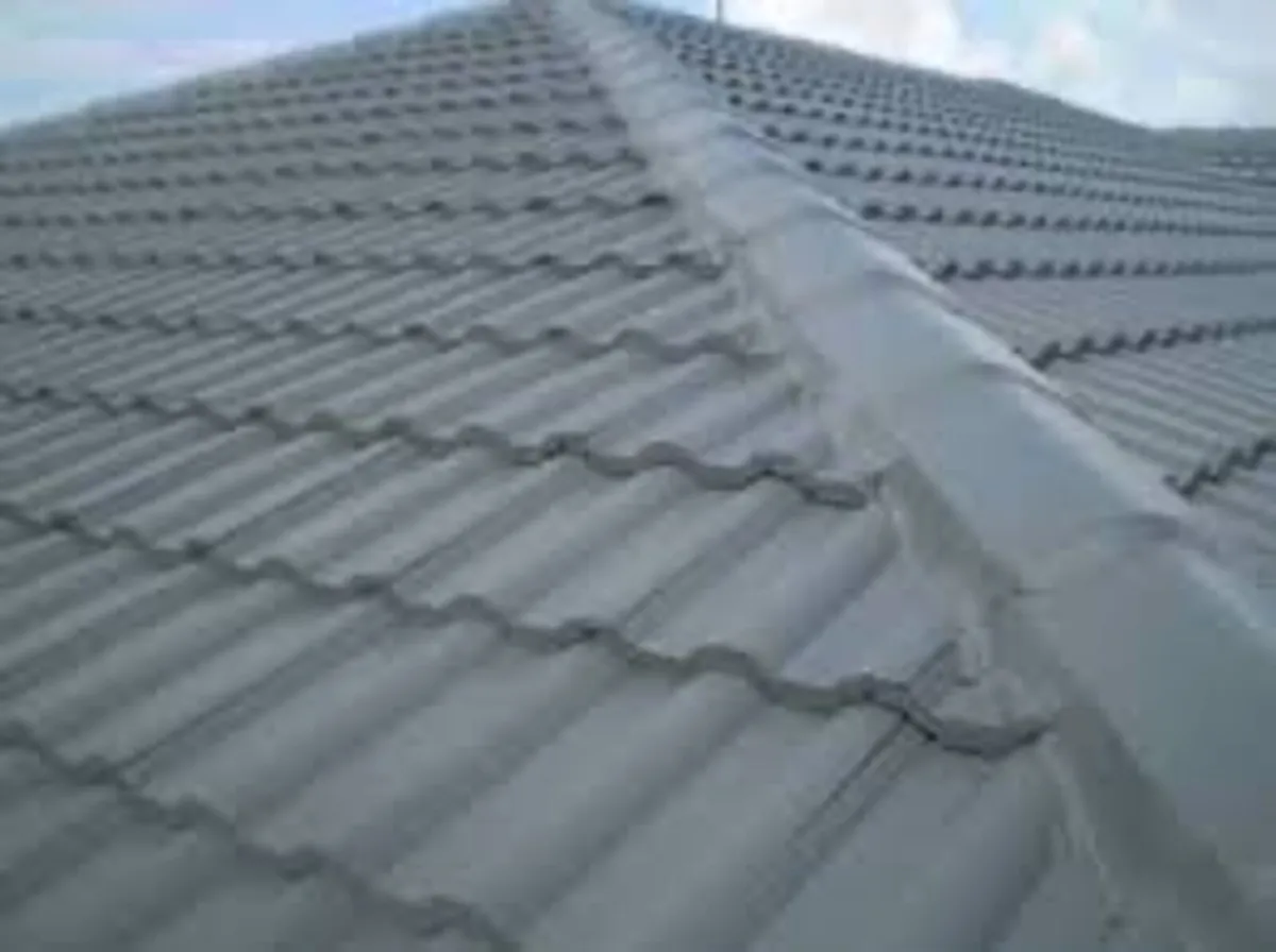 Roof sealer - Image 2