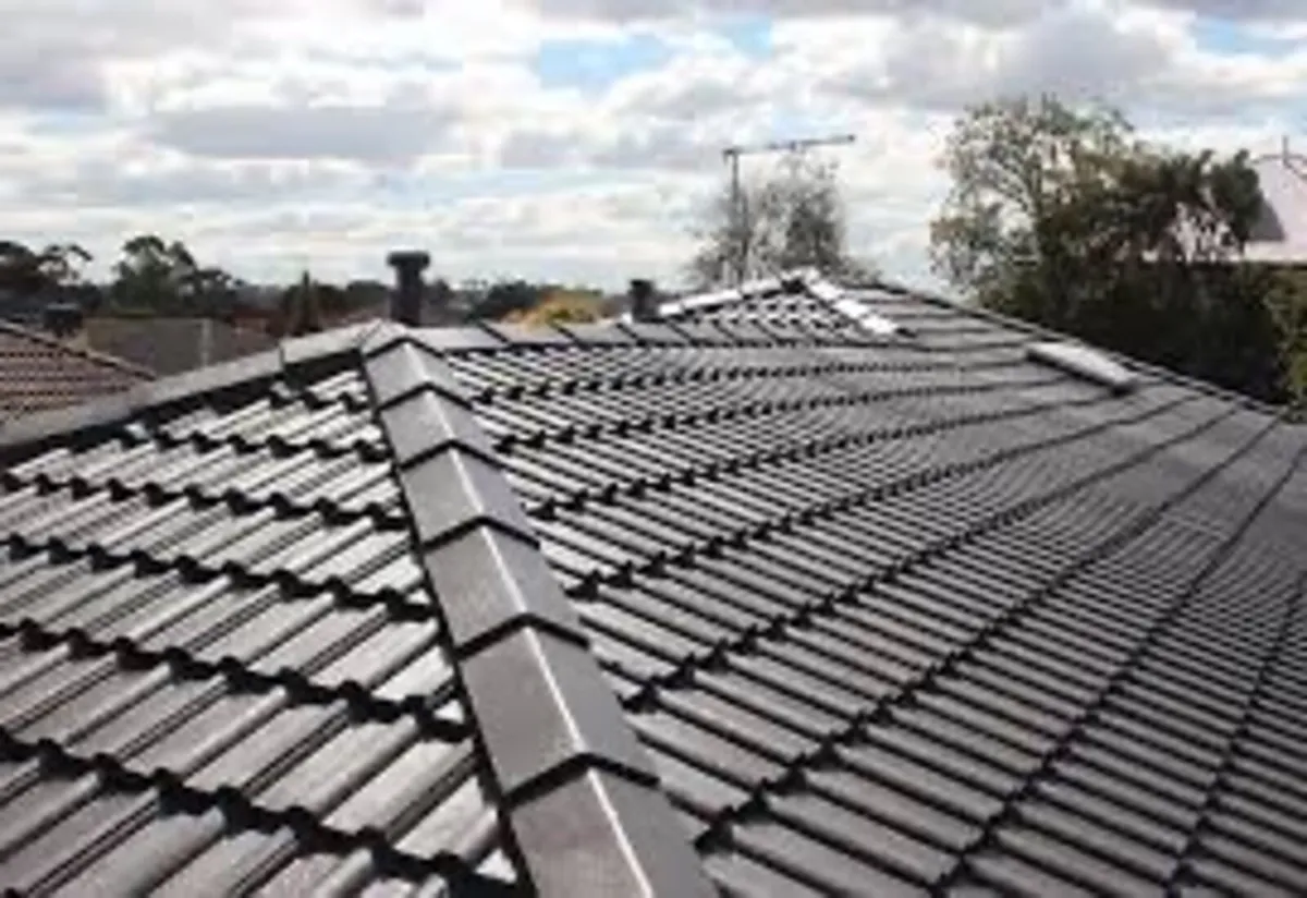 Roof sealer - Image 1