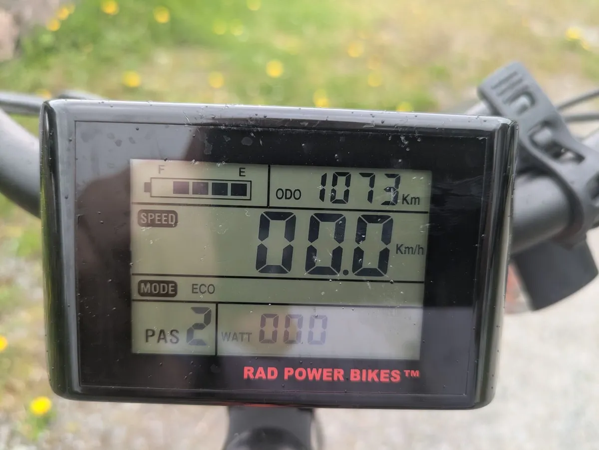 Radwagon 3 cargo e-bike - Image 2