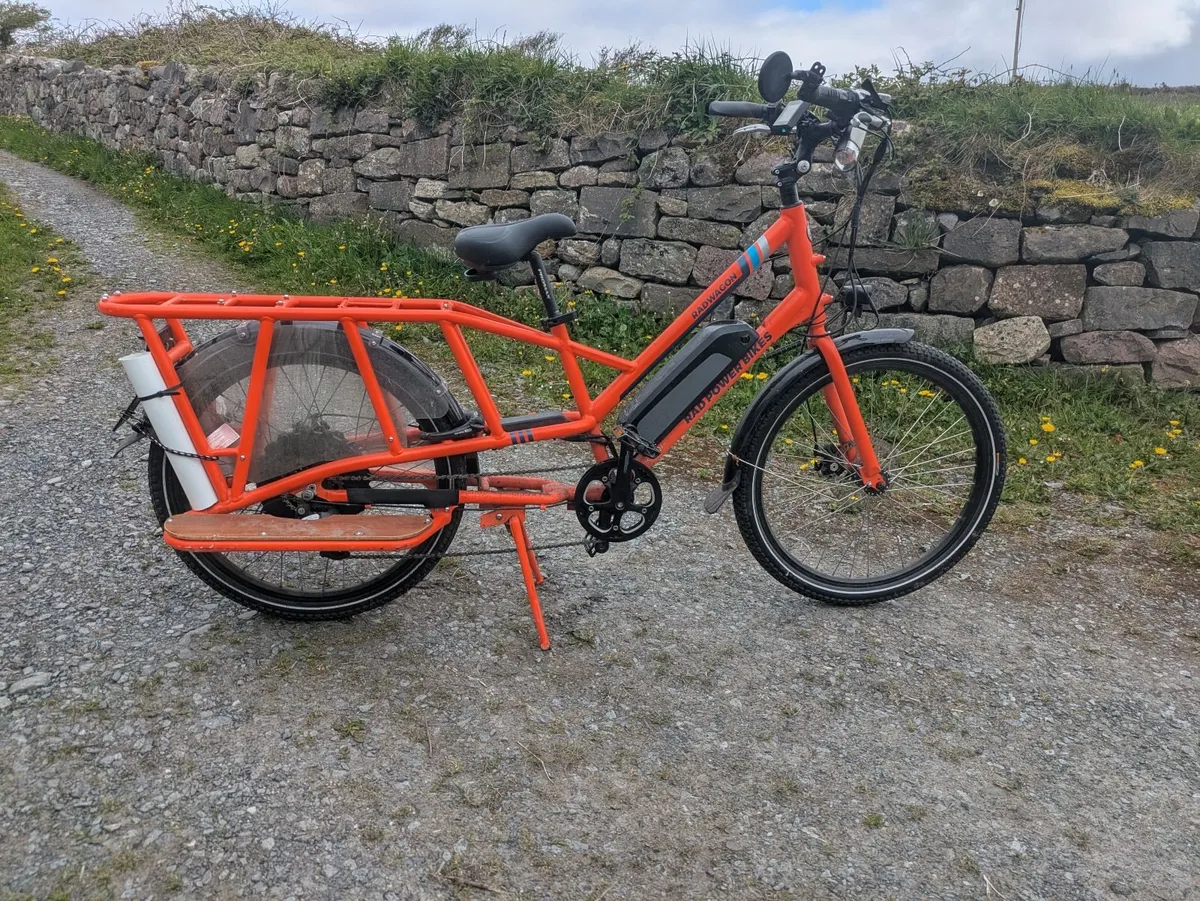 Radwagon 3 cargo e-bike - Image 1
