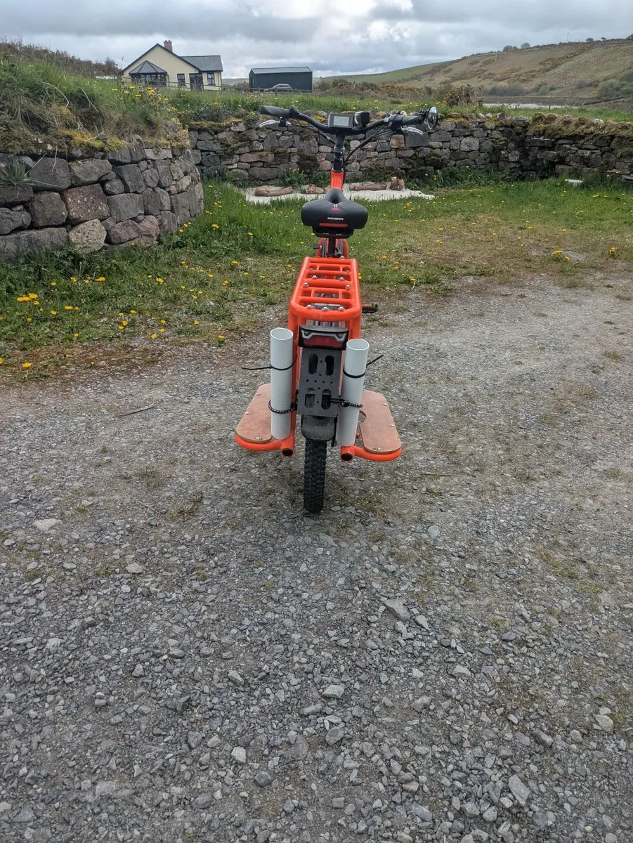 Radwagon 3 cargo e-bike - Image 4