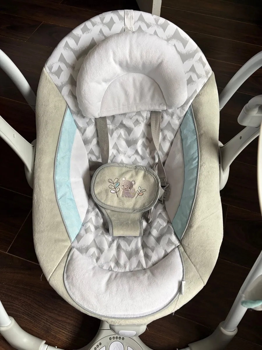 Baby Swing/Bouncer - Image 1