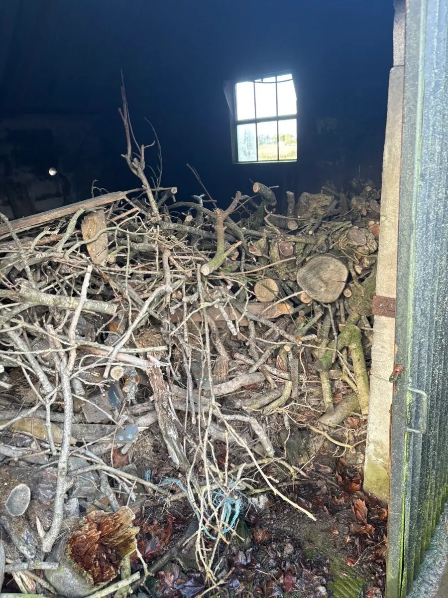 Firewood £200 to clear or £8 a bag of them - Image 1