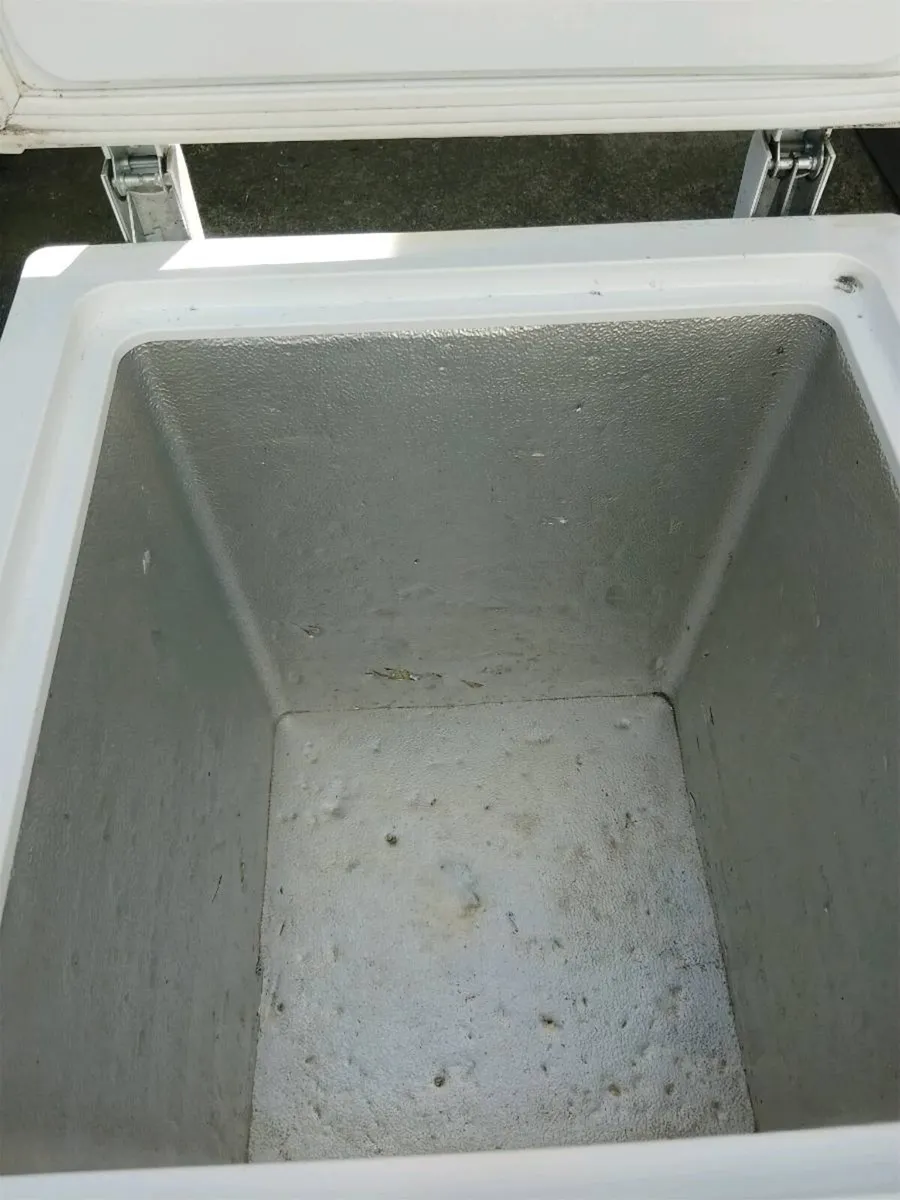 Box freezer - Image 1