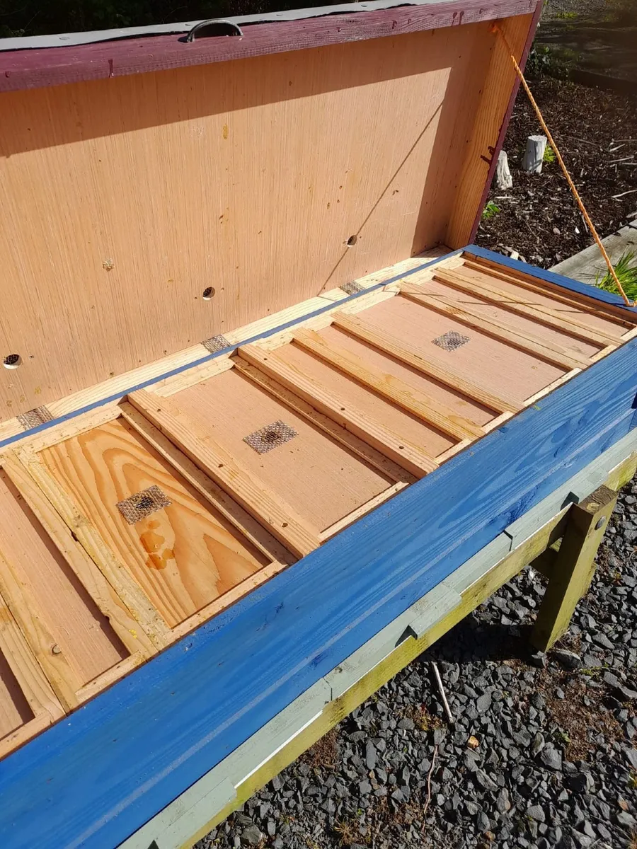 Beehive -  Long Hive - National - Image 3