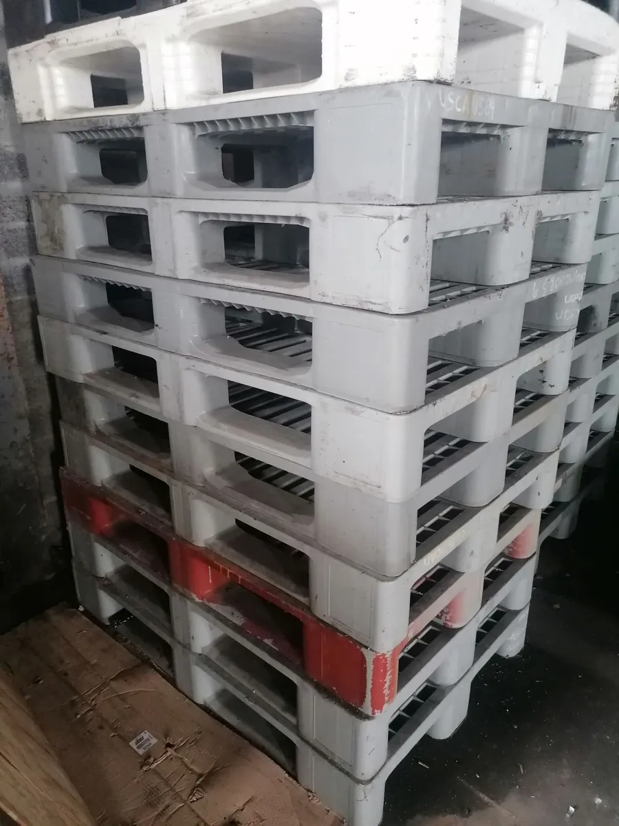 Heavy Duty Storage Boxes/Plastic Pallets - Image 2