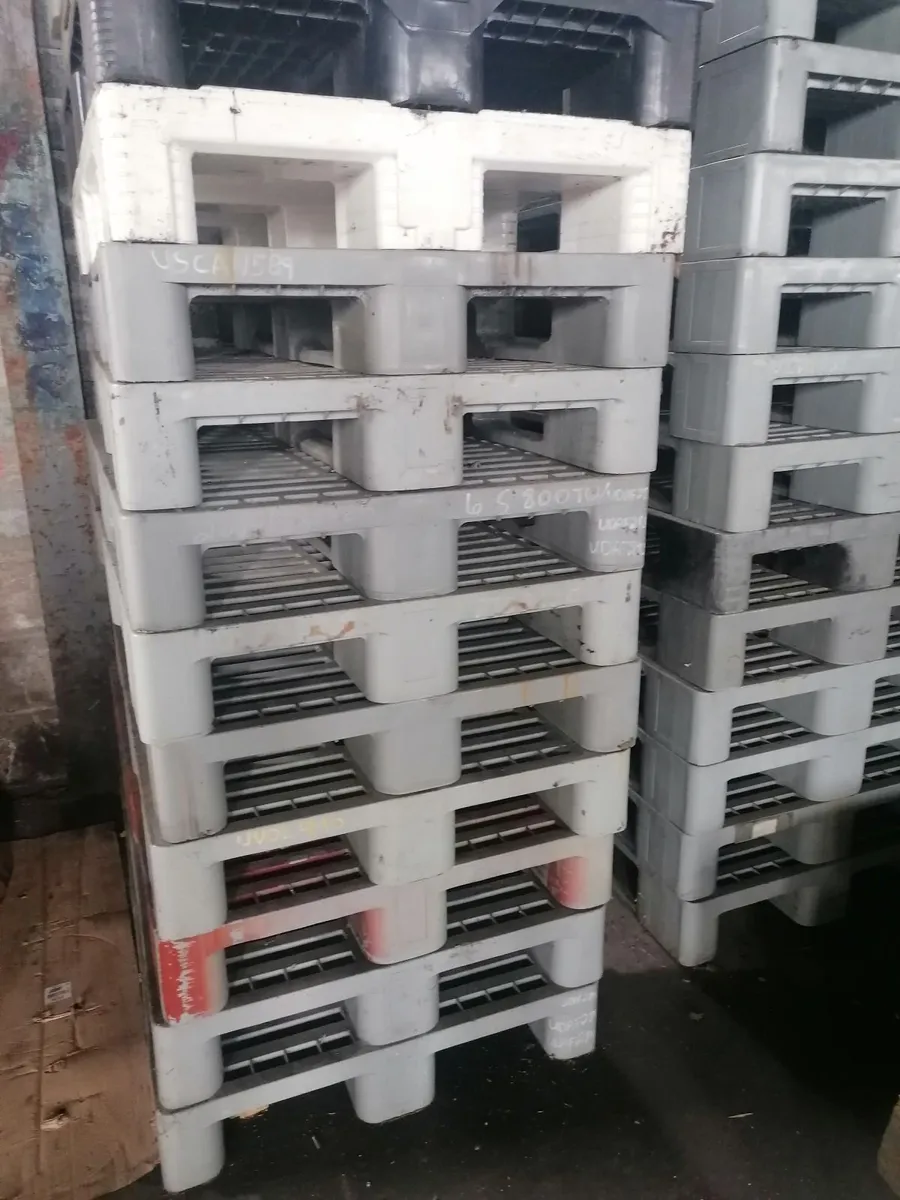 Heavy Duty Storage Boxes/Plastic Pallets - Image 1