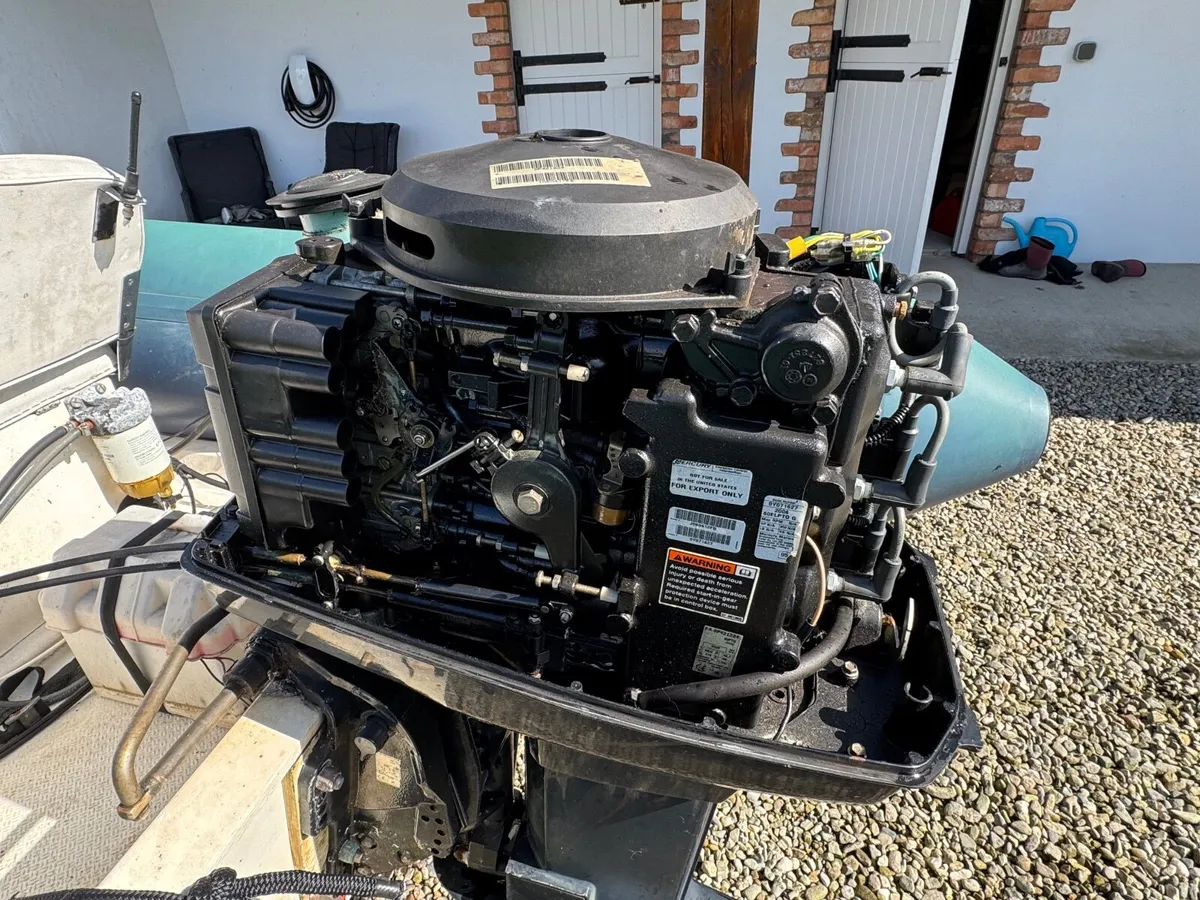 5M Brig Rib - Image 4