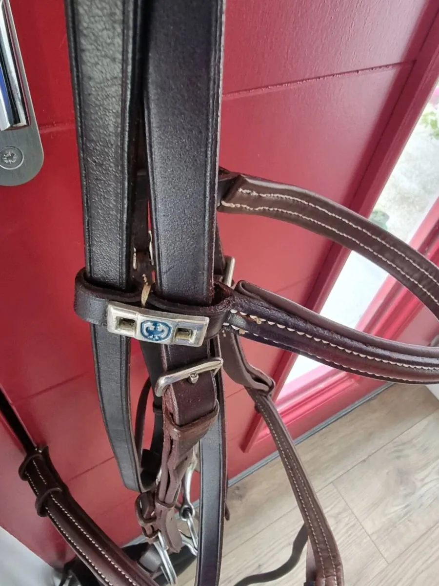 Stübben red bridle white stitching - Image 3