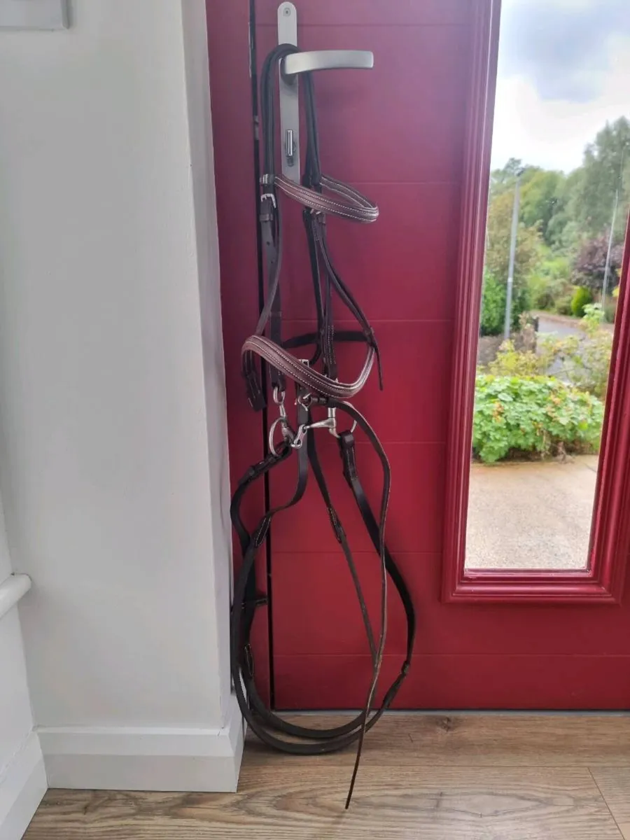 Stübben red bridle white stitching - Image 4