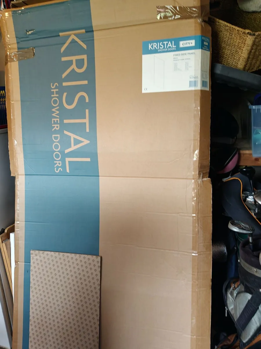 Shower door - Image 2