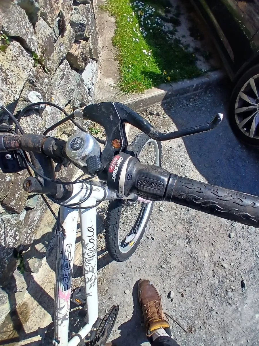 Teenage Girls bike - Image 2