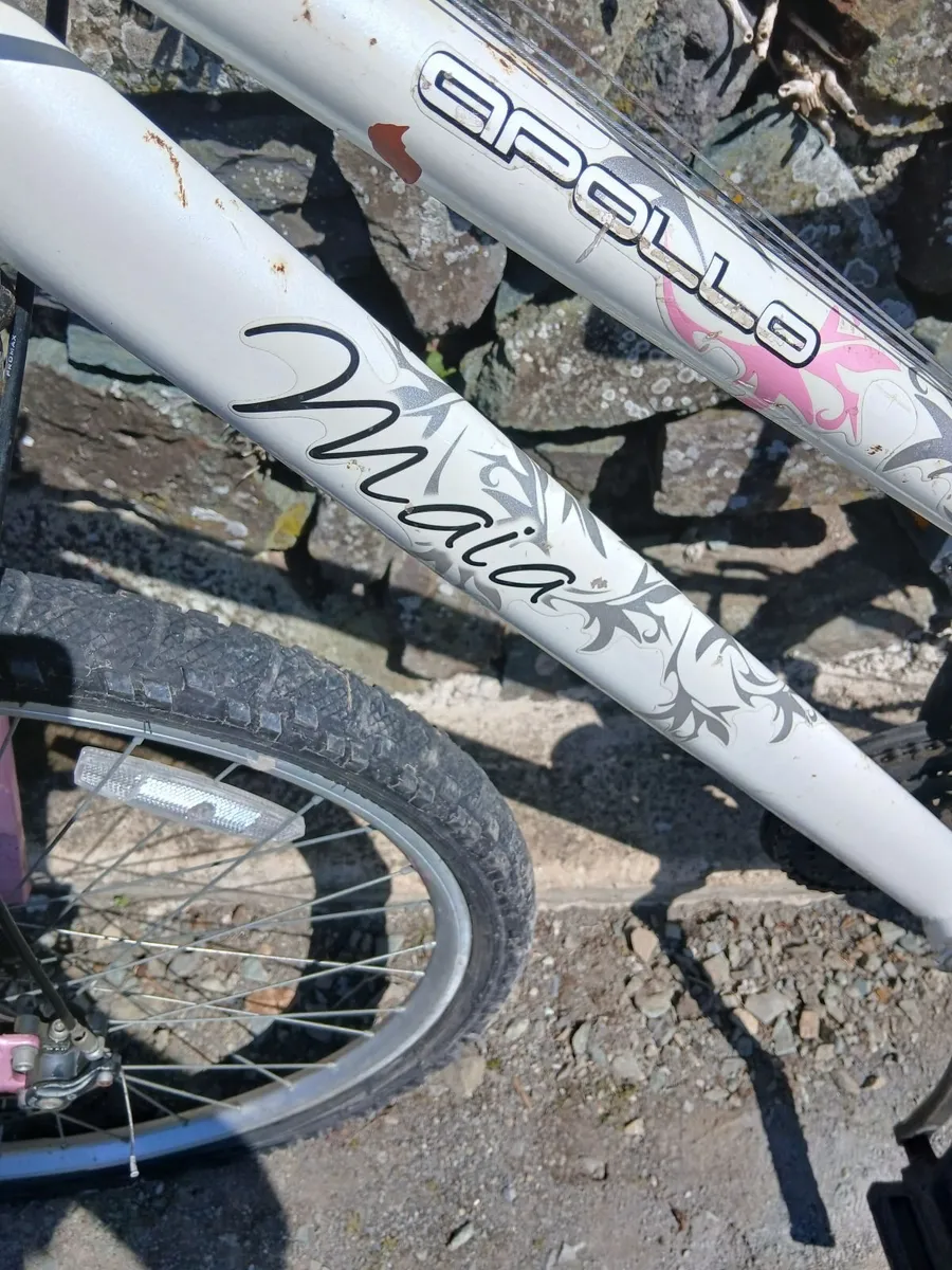 Teenage Girls bike - Image 3