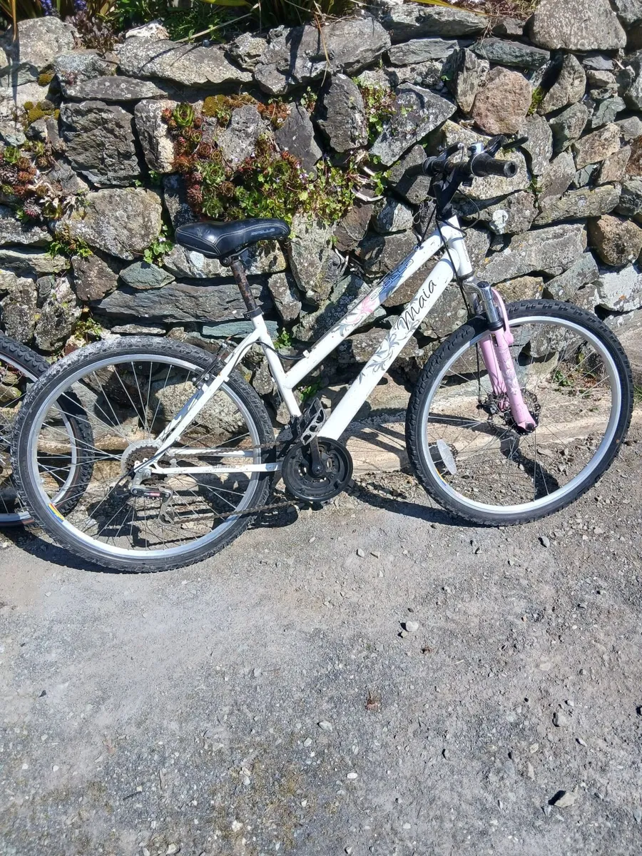 Teenage Girls bike - Image 1