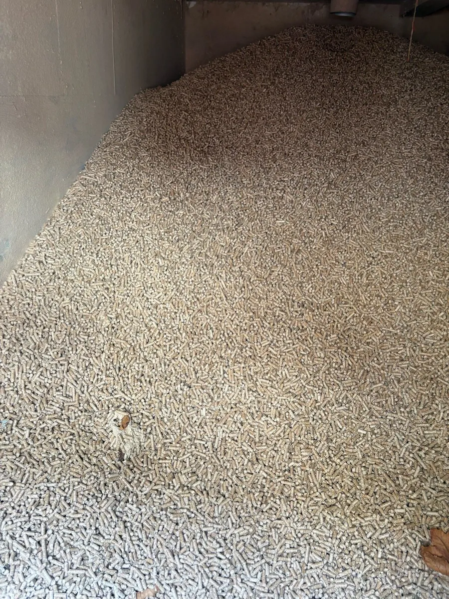 Wood pellets - Image 2
