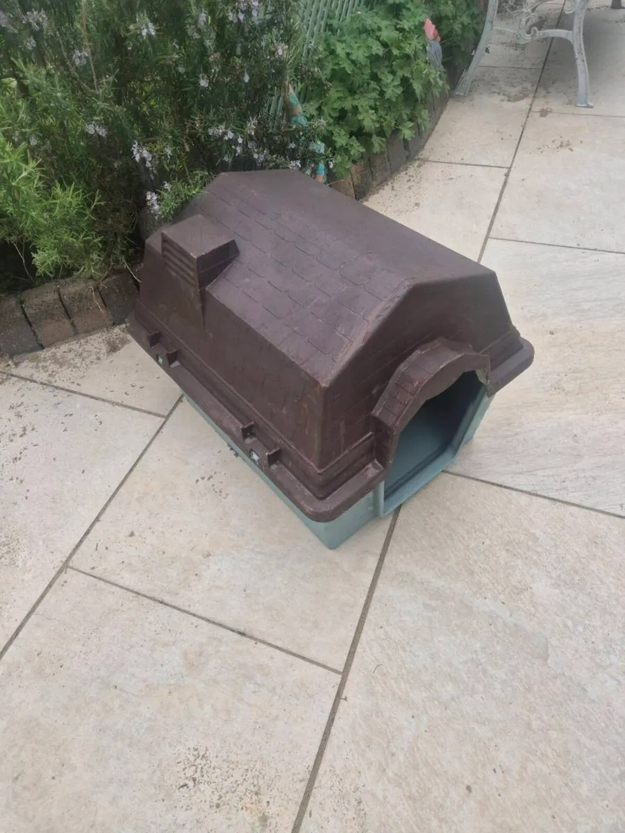Dog - Image 1
