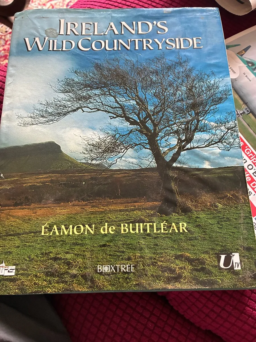 Ireland’s Wild Countryside- Eamon De Buitlear - Image 1