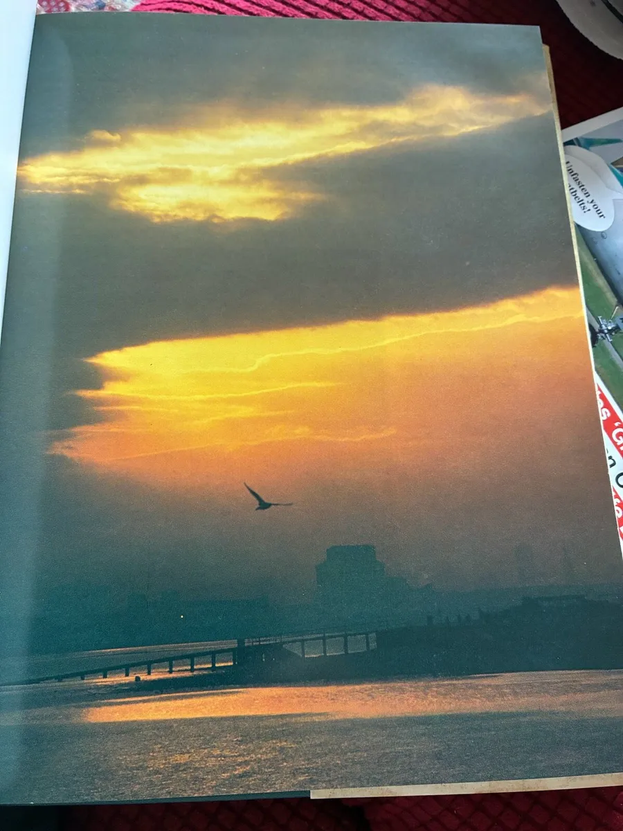 Ireland’s Wild Countryside- Eamon De Buitlear - Image 3