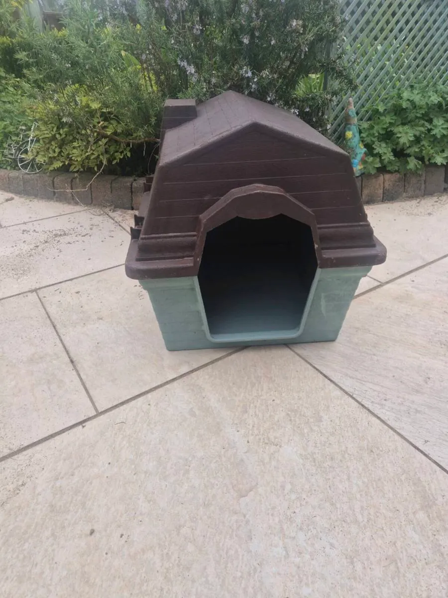 Dog - Image 2