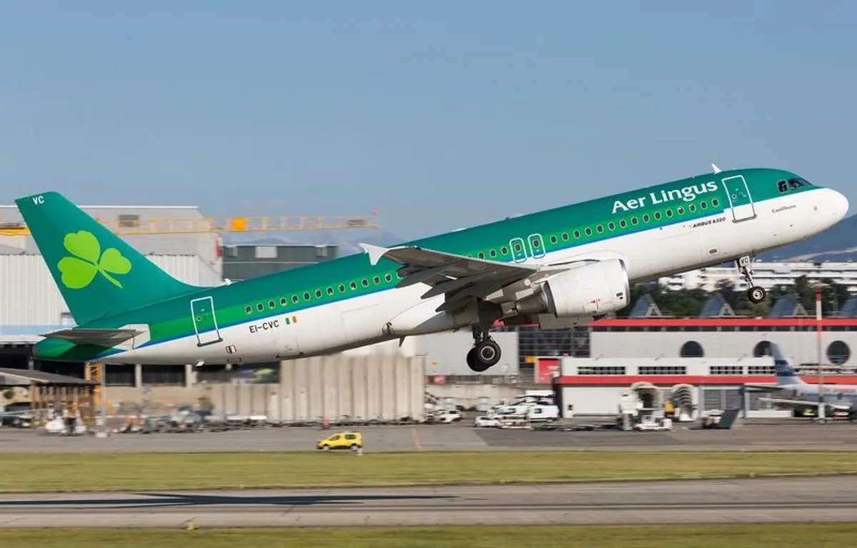 Aer Lingus Airbus A320 Window Panel EI-CVC Aviation Wall Art / Display Piece - Image 2