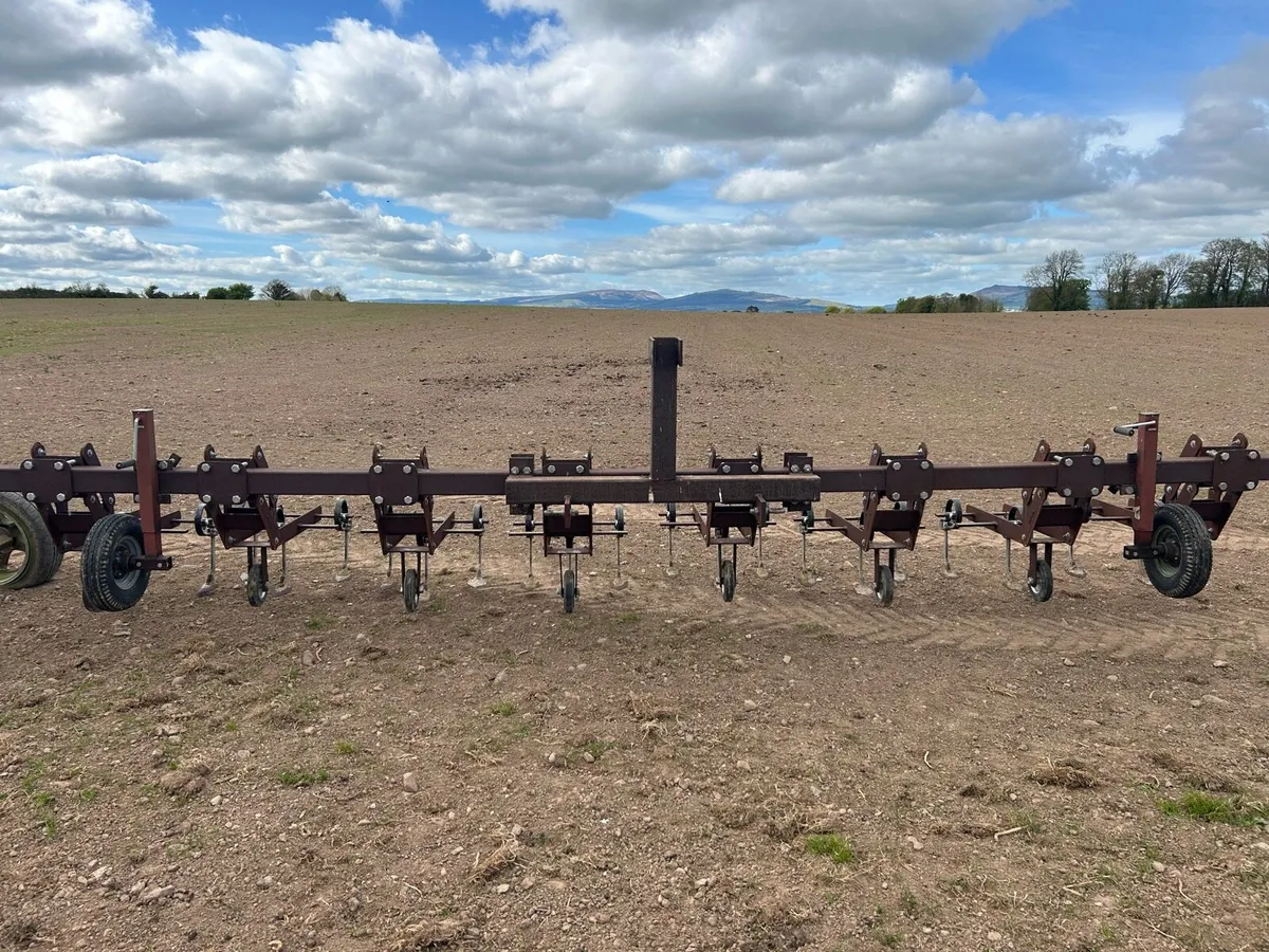Inter-row Weeder - Image 1