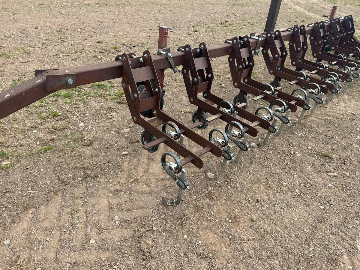 Inter-row Weeder - Image 4